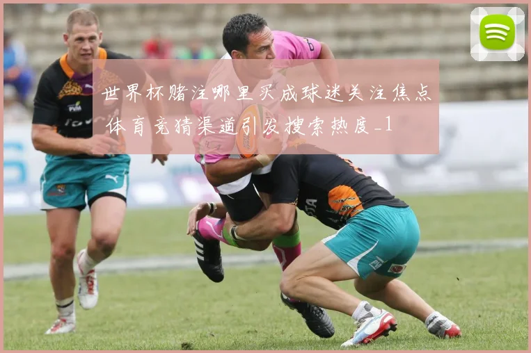 世界杯赌注哪里买成球迷关注焦点 体育竞猜渠道引发搜索热度_1