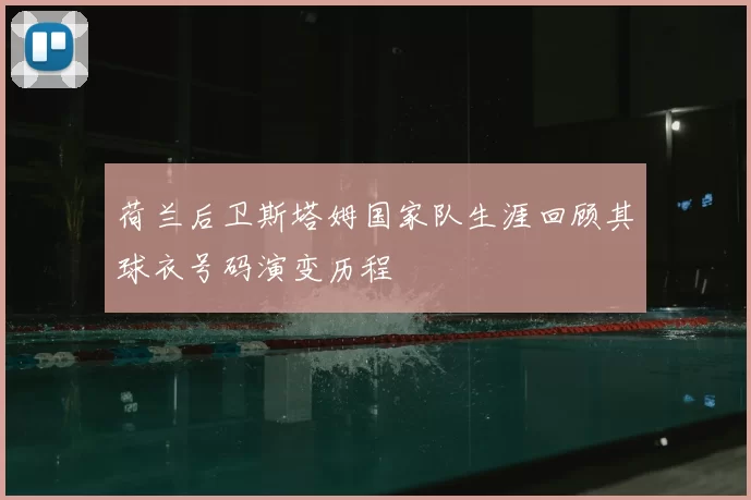 荷兰后卫斯塔姆国家队生涯回顾其球衣号码演变历程